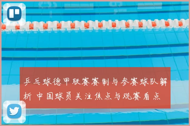 乒乓球德甲联赛赛制与参赛球队解析 中国球员关注焦点与观赛看点