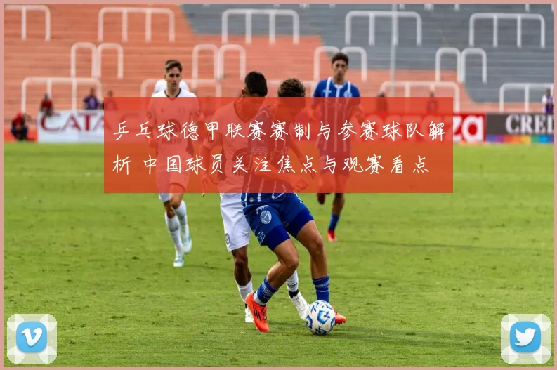 乒乓球德甲联赛赛制与参赛球队解析 中国球员关注焦点与观赛看点