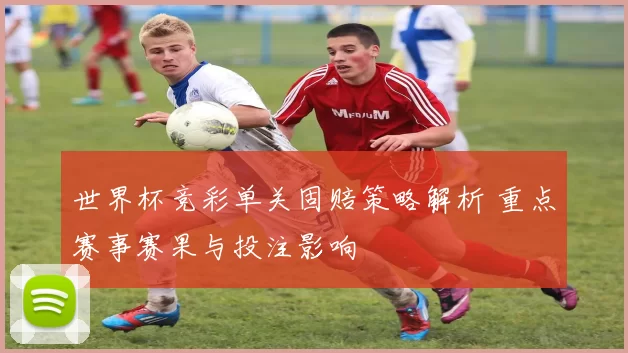 世界杯竞彩单关固赔策略解析 重点赛事赛果与投注影响